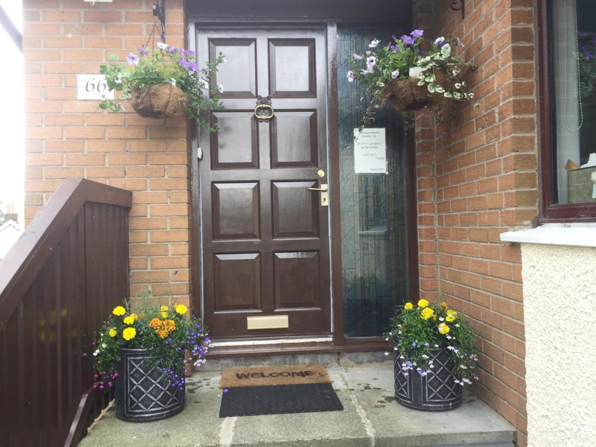 On Route 74 Cycle Route - Glencaple Manse, Crawford Apartamento Exterior foto